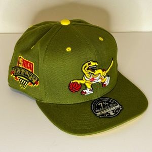 Toronto Raptors Mitchell & Ness Fitted Hat
